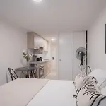 Cozy Studio In Santa Lucia Santiago
