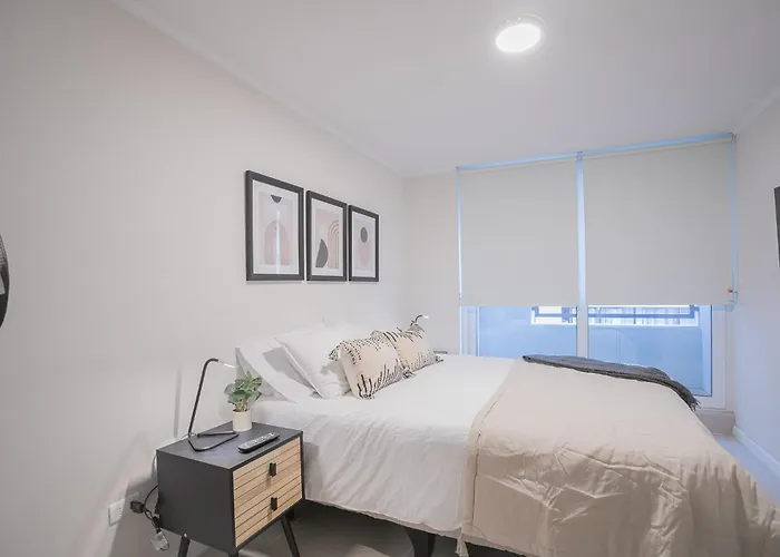 Cozy Studio In Santa Lucia Santiago